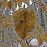IMG_0430_bearbeitet-2