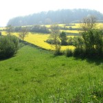 Retzbach, am Benediktusberg