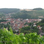 IMG_0860