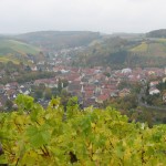 IMG_1838