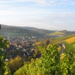 Weinlage Steinberg