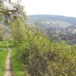 Retzstadt, vom Unt. Langenberg