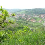 Blick vom Langenberg