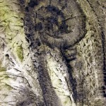 Archaisch
